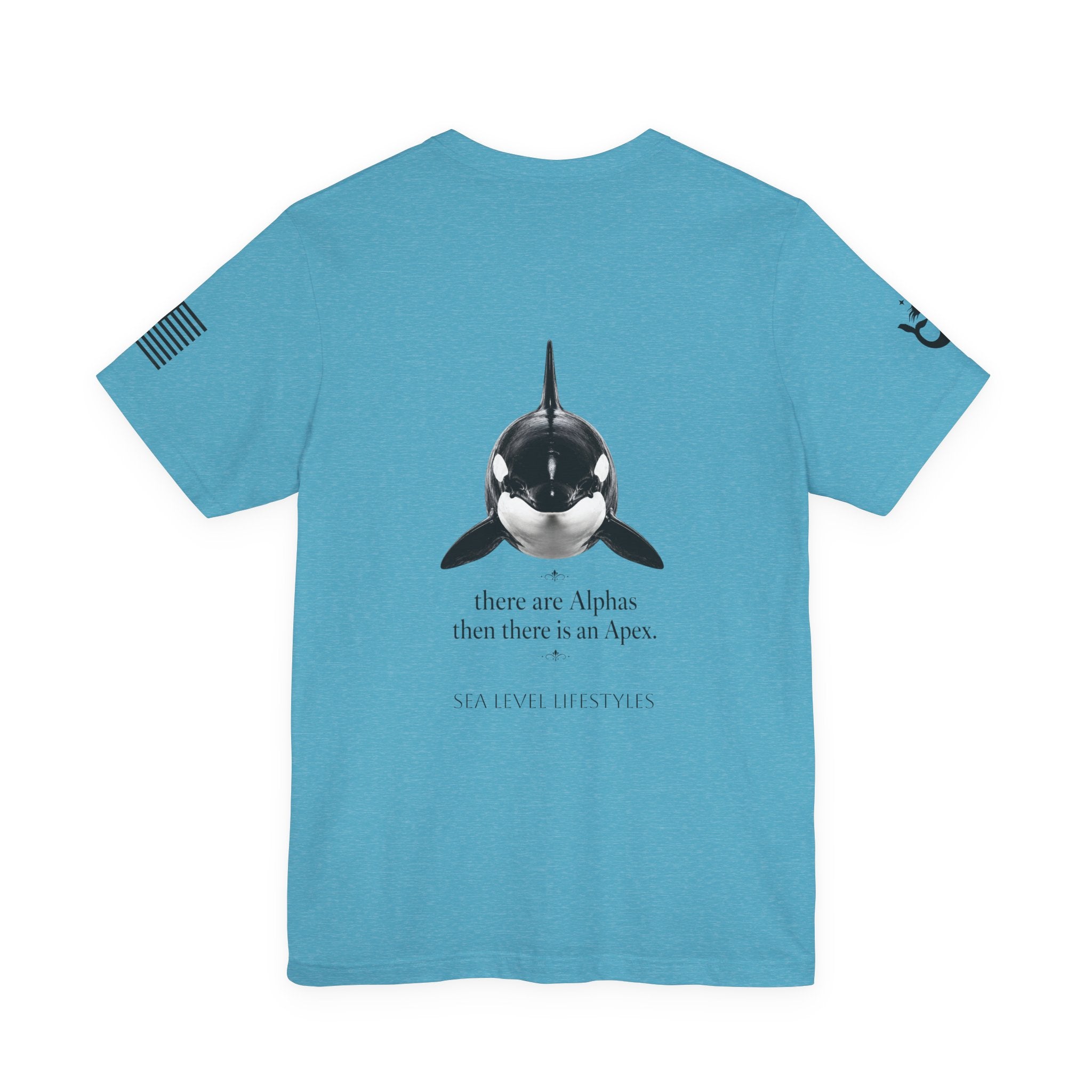 Orca Illustration Tee | killer whale graphic shirt, minimalist marine design