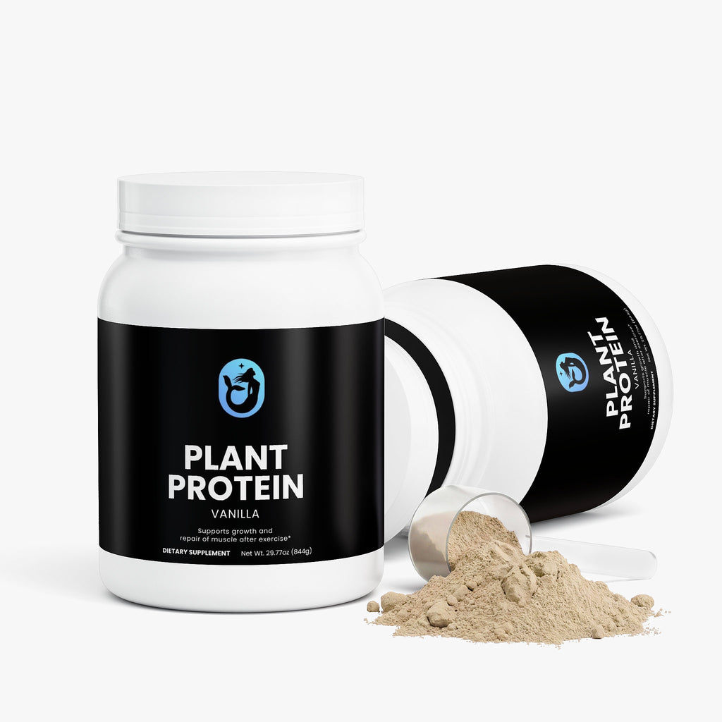 Plant Protein (Vanilla)